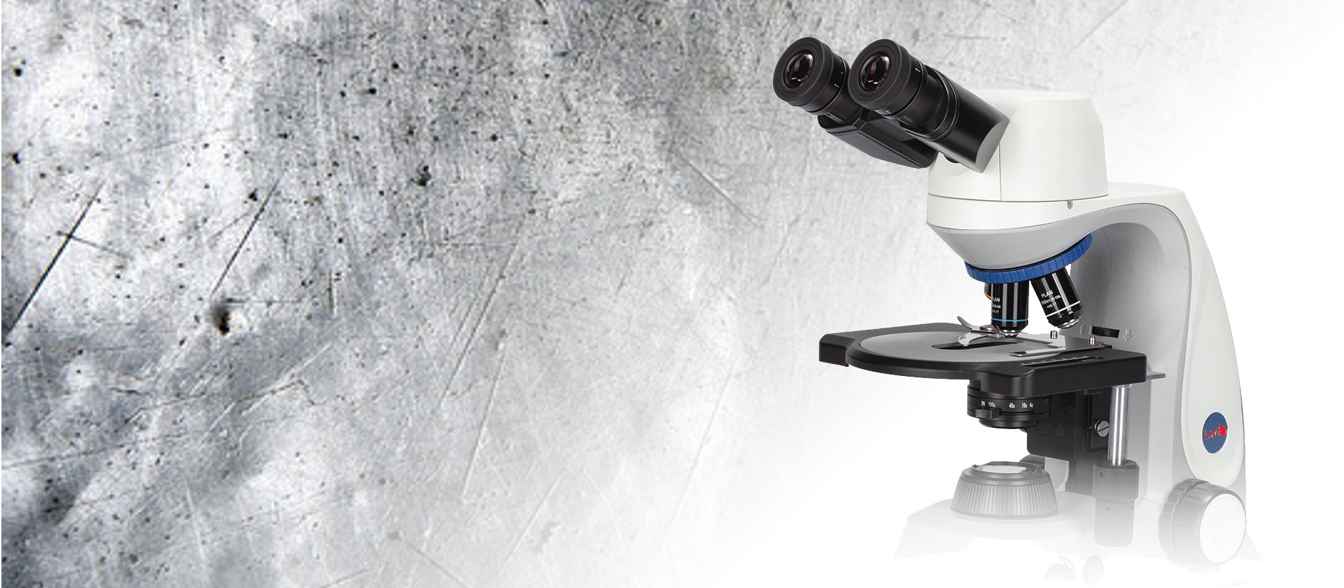 LMI BM-X2 upright biological microscope