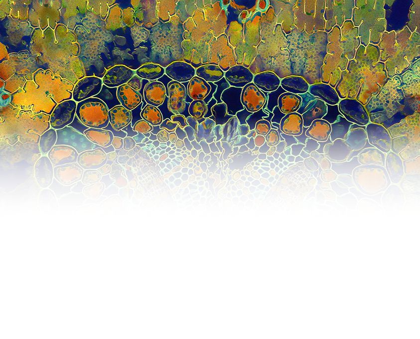 Accessibility